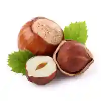 nocciolo